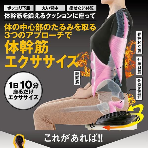 体幹を鍛えるグッズ 体幹トレーニング 器具 グッズ 体幹筋 姿勢矯正 骨盤を立てて座る 口コミ 体幹筋シェイプエクササイズマット Sei466 1 美容と健康のミセルyahoo 店 通販 Yahoo ショッピング