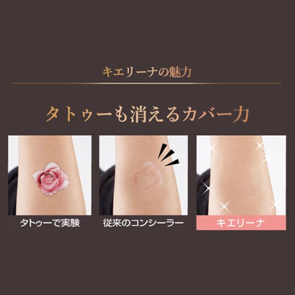 ファンデーション 50代 40代 微粒子 シミ隠すファンデーション 傷跡 隠す ファンデーション 汗に強い 皮脂に強い 魔女の秘密 キエリーナ 6g Buyee Buyee Japanese Proxy Service Buy From Japan Bot Online