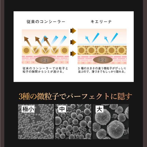 ファンデーション 50代 40代 微粒子 シミ隠すファンデーション 傷跡 隠す ファンデーション 汗に強い 皮脂に強い 魔女の秘密 キエリーナ 6g Buyee Buyee Japanese Proxy Service Buy From Japan Bot Online