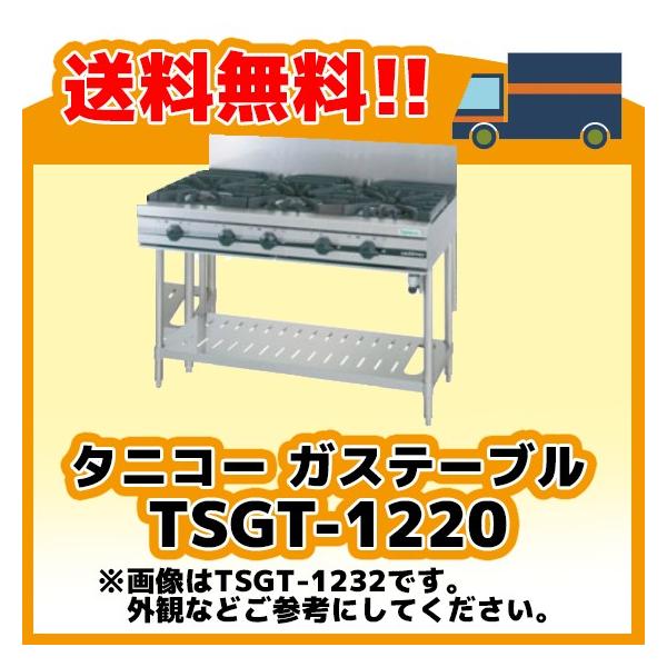 TSGT-1220 タニコー コンロ 2口テーブル 幅1200奥600高800 TSGT-1220 タニコー コンロ 2口テーブル 幅1200奥600高800