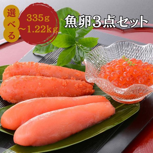 丸鮮道場水産 いくら 醤油漬け たらこ 明太子 魚卵３点セット 560g 国産 ちらし寿司 たらこスパゲッティ パスタ ギフト 小分け  ちらし寿司 おつまみ