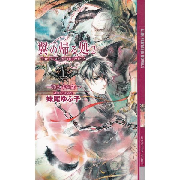 タイトル：　翼が帰る処（２）　鏡の中の空（上）作　　者：　妹尾ゆふ子出　　版：　幻冬舎※中古品ですので、色褪せ・折れ・汚れなどがある場合がございます※読めればOKという方向けです