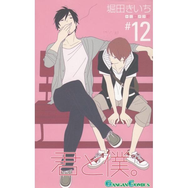 タイトル：　君と僕。（１２）作　　者：　堀田きいち出　　版：　スクエアエニックス※中古品ですので、色褪せ・折れ・汚れなどがある場合がございます※読めればOKという方向けです