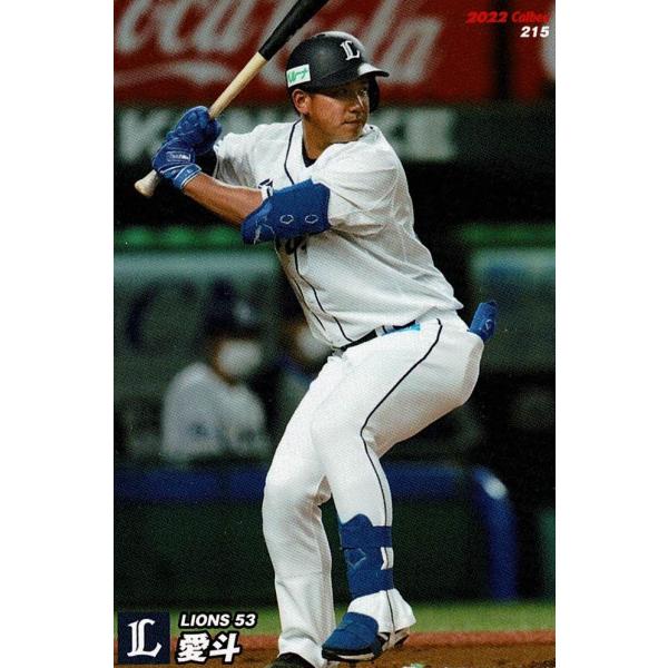 プロ野球チップスカード　埼玉西武ライオンズ29枚セット 埼玉西武ライオンズ プロ野球チップスカード2025 - メルカリ