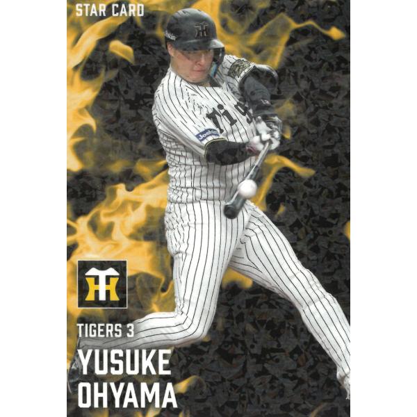 2015 プロ野球チップス スターカード2枚～ 2015 プロ野球チップス スターカード2枚～