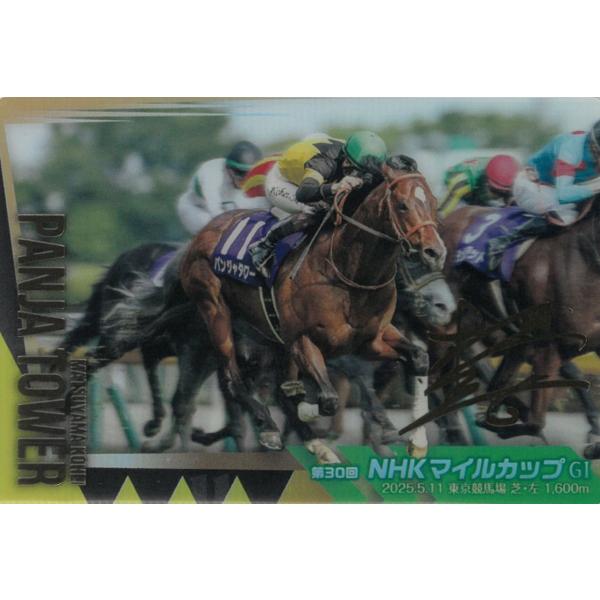 ツインウエハース サラブレッドホースコレクション 第4R No.4-026