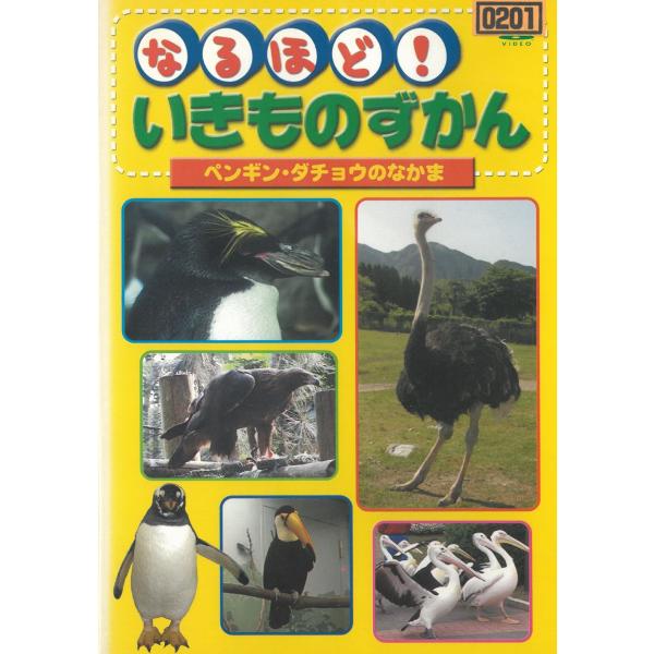 タイトル：　なるほど！いきものずかん　ペンギン・ダチョウのなかまアーティスト：　※中古品ですので、ジャケット等の紙の色褪せ・折れ・汚れなどがある場合がございます