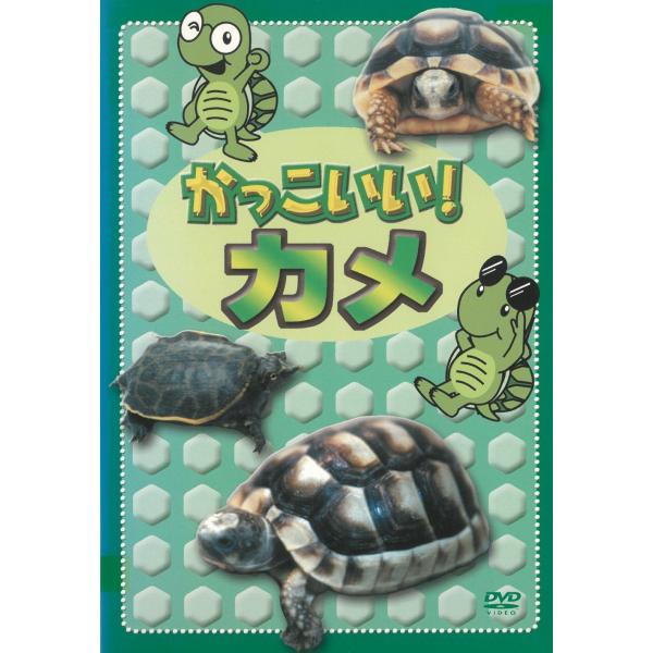 タイトル：　かっこいい！カメ出演者：　※中古品ですので、ジャケット等の紙の色褪せ・折れ・汚れなどがある場合がございます