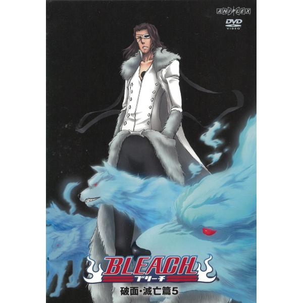 BLEACH ブリーチ 破面・滅亡篇（５） 283〜286 中古・レンタル落ちDVD