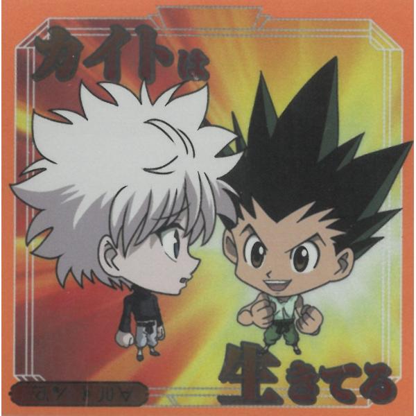 にふぉるめーしょん HUNTER×HUNTER シール×ウエハース vol.9 HH9-11