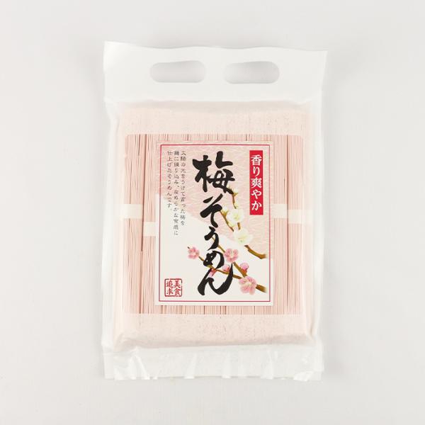 梅そうめん 450g 岩田屋【埼玉県秩父 送料別】【HZ】 : 道の駅はなぞの