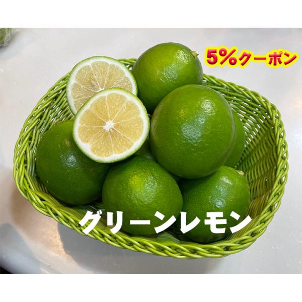 5%クーポン 　喜界島 グリーン レモン 2Kg 2025年産 皮も美味しい 露地栽培 農家直送 国産 道の島農園