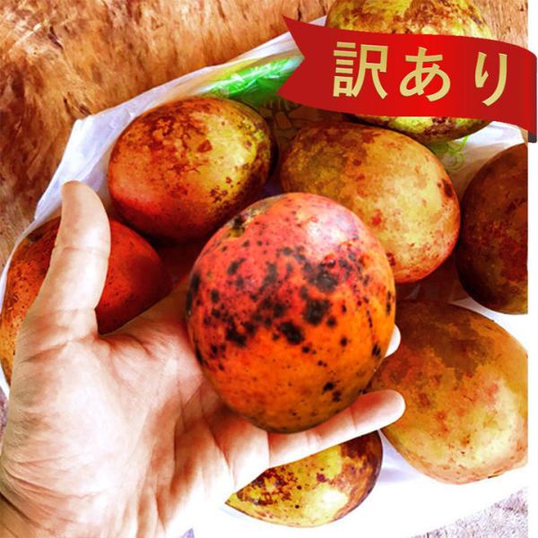 マンゴー 訳あり 沖縄県産 2kg(4-8玉)　送料無料 アップルマンゴー