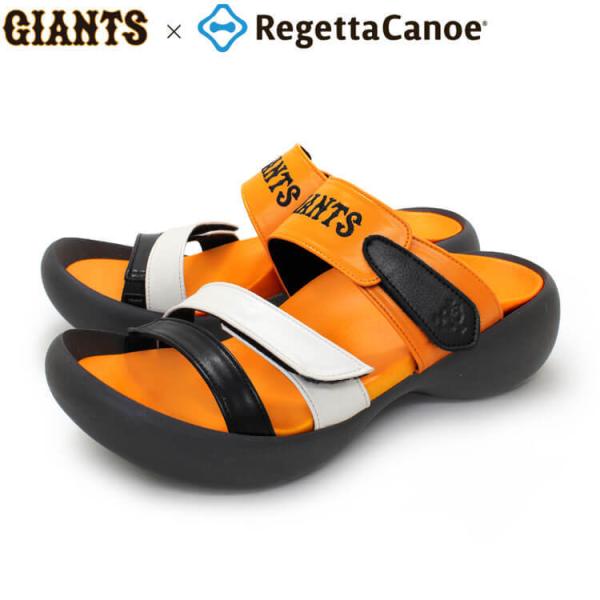 Qb^Jk[ RegettaCanoe ǔWCAcR{ BCEG5224YG v싅12c l 싅ϐ T_ Xbp fB[X