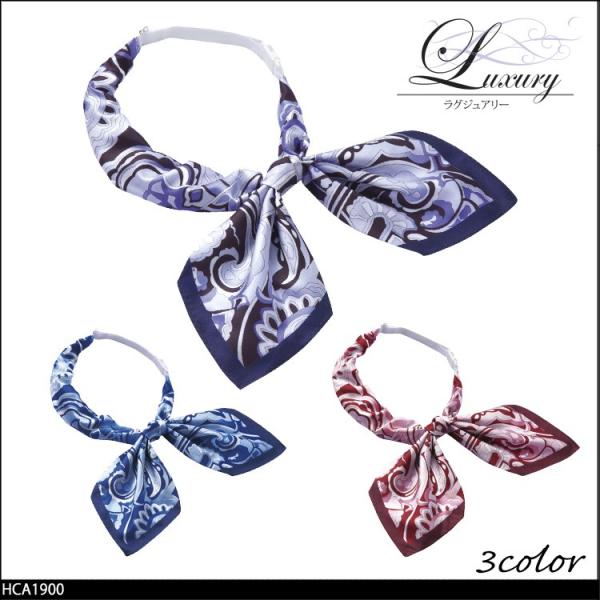 ItBX   pieds sG aitoz XJ[t{ HCA1900