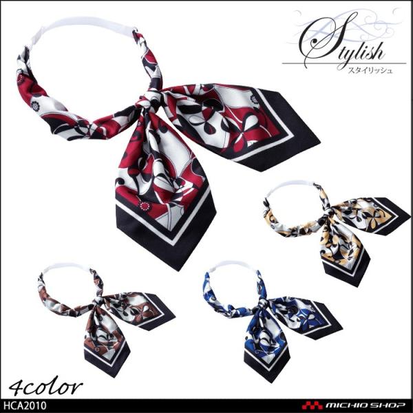 ItBX   pieds sG aitoz XJ[t{ HCA2010