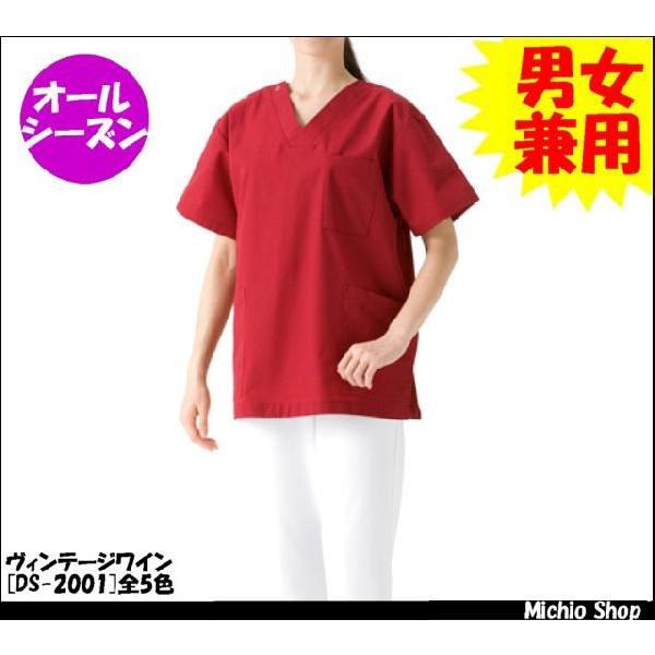 p Ō앞 D-PHASE jpXNu DS-2001 fB[tFCY