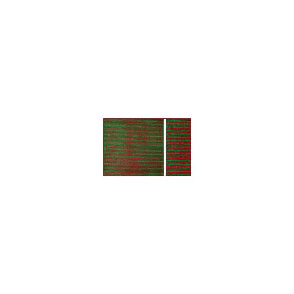 Ԕ () yÐmsEH-8z