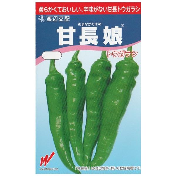 容量　10 粒辛味が無く柔らかい　甘長とうがらし。株あたりの収穫個数が多く収量性が高い。果長は15cmくらいの細長い円錐形。