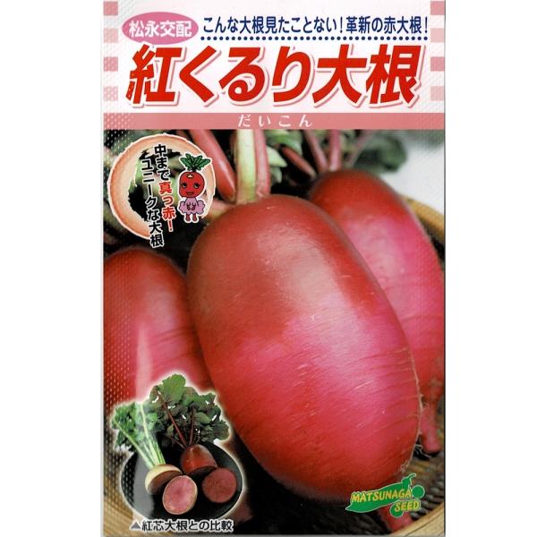 紅くるり大根