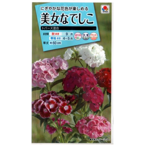 美女なでしこ　高性混合