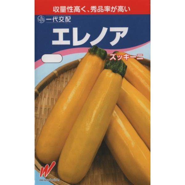ズッキーニ（エレノア）