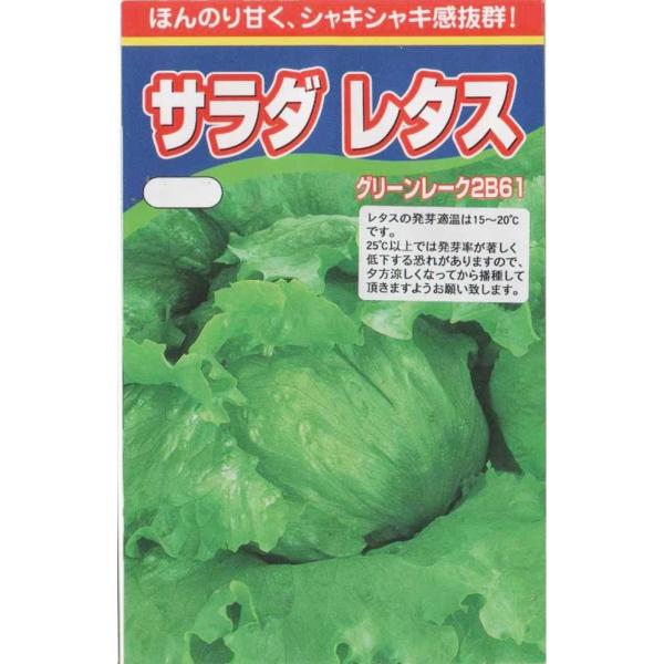 レタス（グリーンレーク2B61）