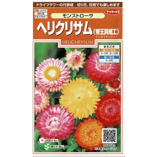 帝王貝細工　モンストローサ