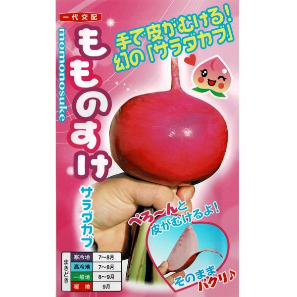 もものすけ　サラダカブ
