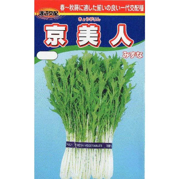 サラダ用水菜（京美人）