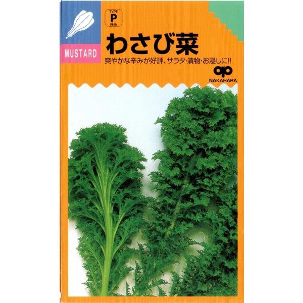 わさび菜