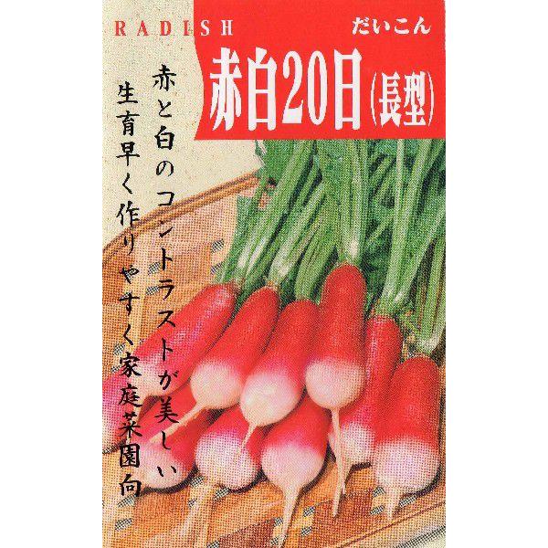 廿日大根（フレンチブレックファースト）