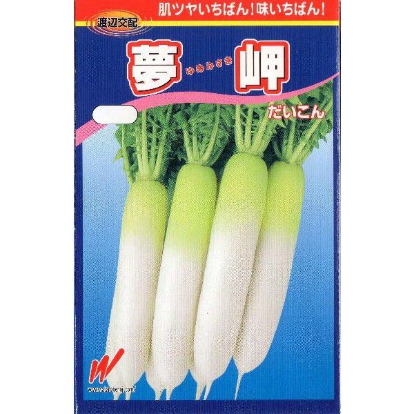 青首大根（夢岬）