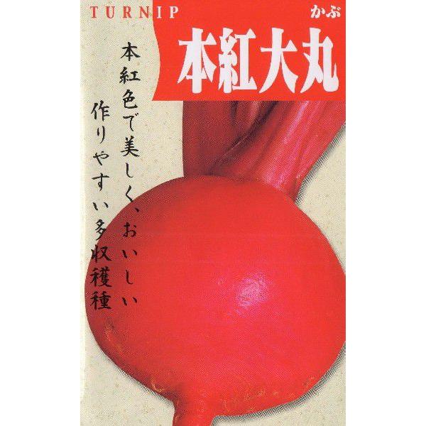 本紅大丸かぶ
