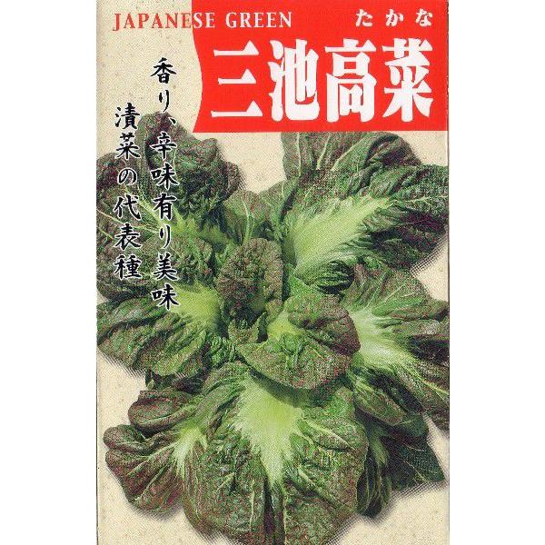 三池高菜