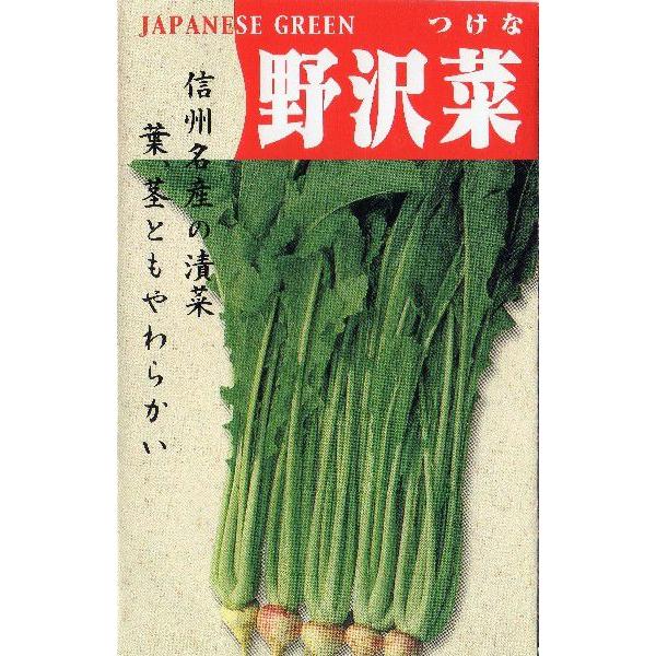 野沢菜