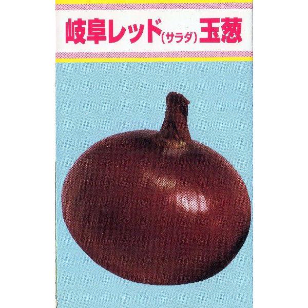 岐阜レッドサラダ玉葱