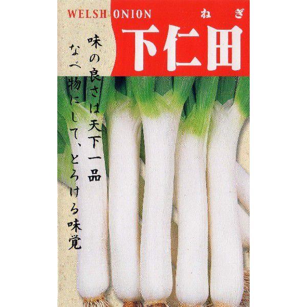 下仁田葱