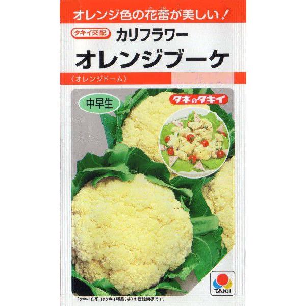 カリフラワ（オレンジブーケ）
