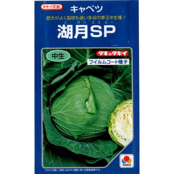 キャベツ（湖月SP）