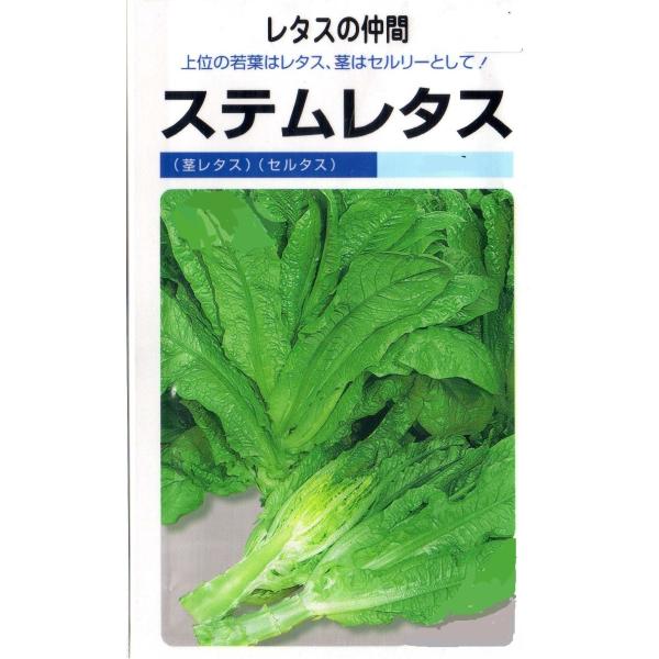 徳島県産 茎レタス ステムレタス10kg image.jpg