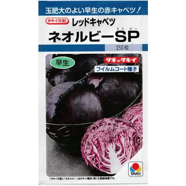 赤キャベツ（ネオルビーSP）