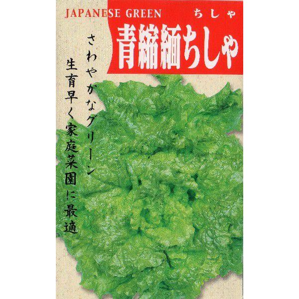 青ちりめんちしゃ