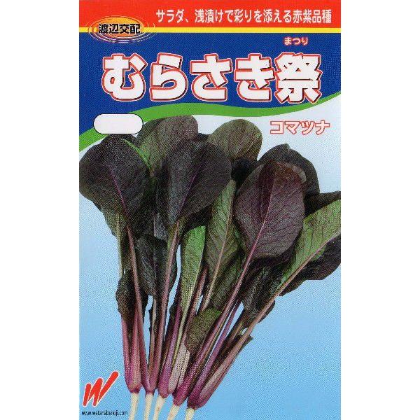 赤紫小松菜（むらさき祭） : みづほ商店ヤフーショップ - 通販 - Yahoo
