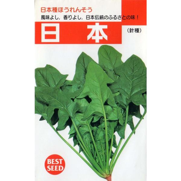 法蓮草（日本法蓮草）