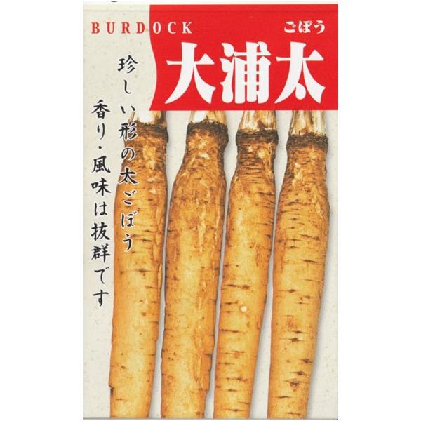 大浦牛蒡