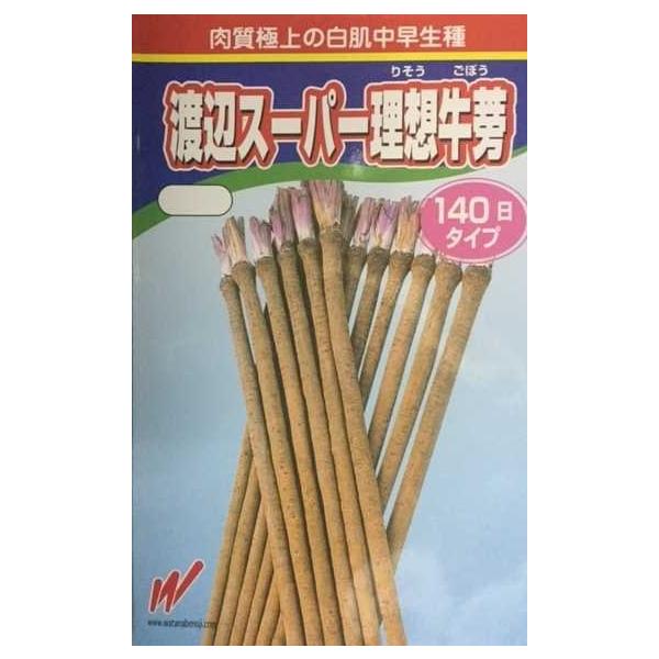 渡辺スーパー理想牛蒡