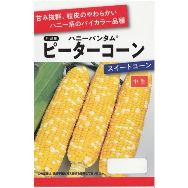 トウモロコシ（ピーターコーン)