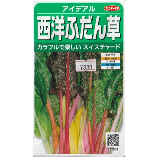 西洋ふだん草