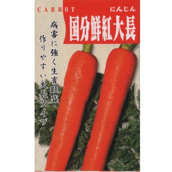 国分鮮紅大長人参